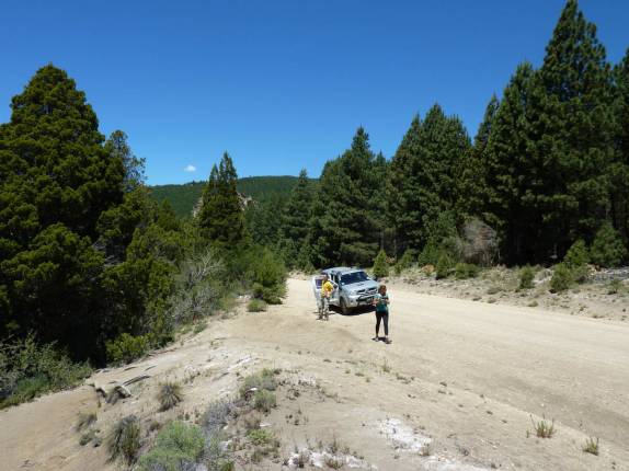 Estrada que atravessa o parque Lanin, na região de San Martín de Los Andes, na Argentina